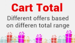 Cart Total : Different Range Different Offers