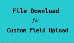 File Download For Custom Field Upload