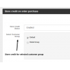 Get Store credit based on payment method Get Store credit based on payment method